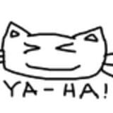 PCat