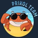 Prikol Team