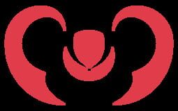 Parenthesix
