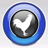 Big Rooster