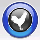 Big Rooster