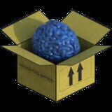 Brainbox.cc