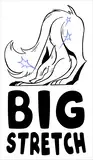BIG STRETCH logo