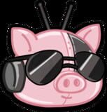 Pig Bot Games