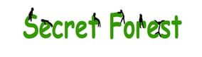 Secret Forest