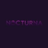 Nocturna Video Games Studio