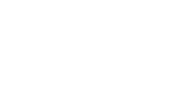 Evolite Studio logo