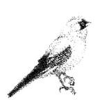 Edanoue logo