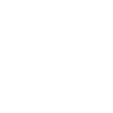 THE ROOF Interactive