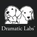 Dramatic Labs logo