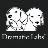 Dramatic Labs logo