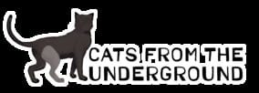 Cats From The Underground