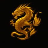 Sea Dragon Studio