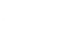 Saltstone Studios logo