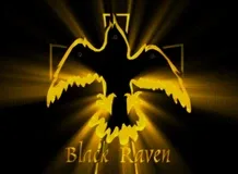Black Raven logo