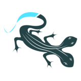 Team Tokage logo