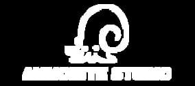 Ammonite Studio