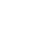 Mentis Interactive