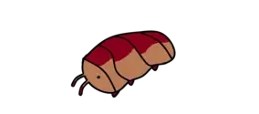 Isopod Actions logo