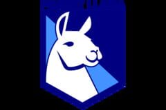Pocket Llama LLC