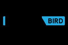 Broken Bird Games