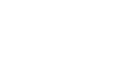 Wandering Wizard logo