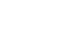 Wandering Wizard logo