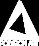 Polygon Art