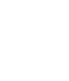 Polygon Art