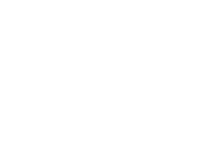 Wildflower Interactive
