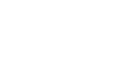 Wildflower Interactive logo