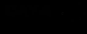 Day 4 Night Studios logo