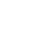 The Dwarven Brothers