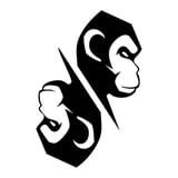 Monkey's Mirror