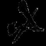 Astro Shaft