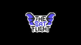 The Bat Flight
