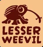 Lesser Weevil