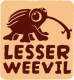 Lesser Weevil