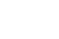 Bloo Owl logo