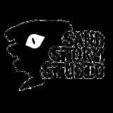 Sand Storm Studio logo
