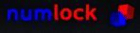 NumLock Software