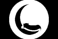Team Crescendo logo