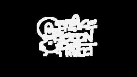 Space Pigeon Project
