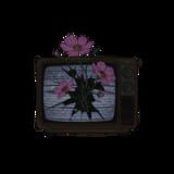 Static Bloom