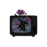 Static Bloom