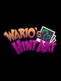 Wario's Hint Art