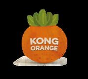 Kong Orange company logo