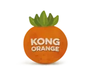 Kong Orange logo
