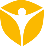 Visionaire Studio logo