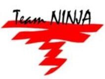Team Ninja
